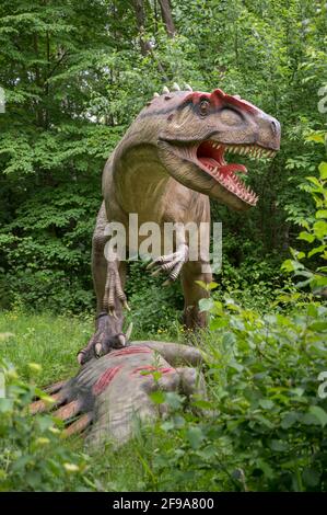 Allosaurus avec stegosaurus mort, modèles de dinosaures à Dinopark Münchehagen près de Hanovre. Banque D'Images