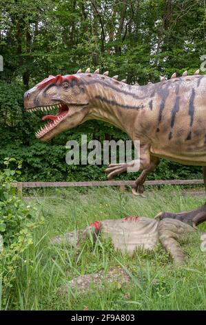 Allosaurus avec stegosaurus mort, modèles de dinosaures à Dinopark Münchehagen près de Hanovre. Banque D'Images