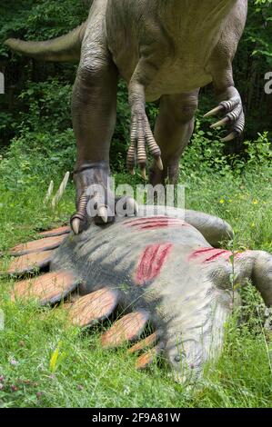 Allosaurus avec stegosaurus mort, modèles de dinosaures à Dinopark Münchehagen près de Hanovre. Banque D'Images