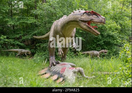 Allosaurus avec stegosaurus mort, modèles de dinosaures à Dinopark Münchehagen près de Hanovre. Banque D'Images