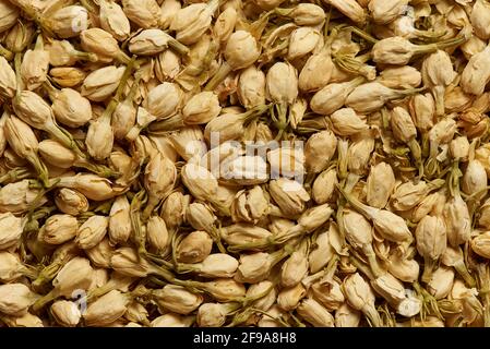 Fleurs de jasmin séchées comme arrière-plan. Banque D'Images