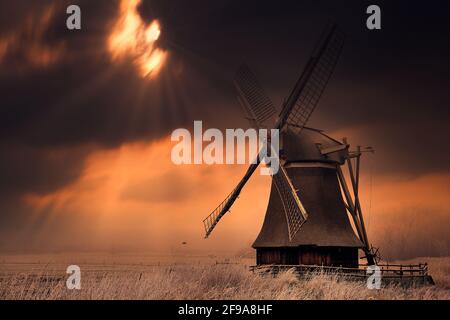 Allemagne, Basse-Saxe, Neustadtödens, moulin à eau Wedelfelder, moulin à eau à marmoise [M] Banque D'Images