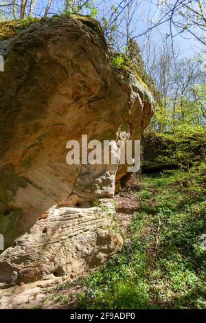 Labyrinthe rocheux au-dessous des ruines du Nordburg Lichtenstein dans Lichtenstein, parc naturel de Haßberge, district de Haßberge, Basse-Franconie, Franconie, Bavière, Allemagne Banque D'Images