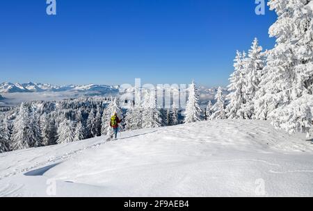 Randonneurs avec des raquettes dehors et autour dans un paysage de montagne enneigé lors d'une journée d'hiver ensoleillée sur le Wertacher Hörnle. Allgäu Alpes, Bavière, Allemagne, Europe Banque D'Images