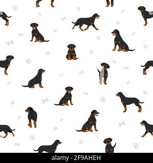 Rottweiler sans couture. Différentes poses, ensemble de couleurs de pelage. Illustration vectorielle Illustration de Vecteur