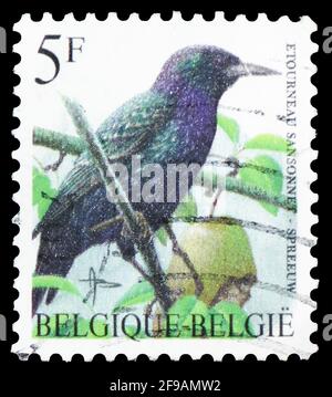 MOSCOU, RUSSIE - 22 SEPTEMBRE 2019 : le timbre-poste imprimé en Belgique montre Starling (Sturnus vulgaris), série oiseaux de Buzin, vers 1996 Banque D'Images