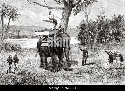 Transport d'un canon d'artillerie français sur le dos d'un éléphant au Cambodge. Ancienne illustration gravée du XIXe siècle de la nature 1889 Banque D'Images
