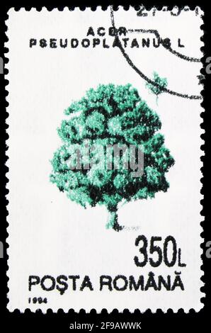 MOSCOU, RUSSIE - 22 SEPTEMBRE 2019: Timbre-poste imprimé en Roumanie montre la grande érable (Acer pseudoplatanus), série d'arbres, vers 1994 Banque D'Images