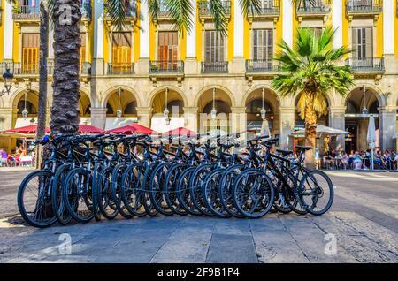 BARCELONE, ESPAGNE, OCTOBRE 24,2014 : plusieurs vélos de ville enfermés dans un arbre sur la Placa Reial à Barcelone, Espagne. Banque D'Images