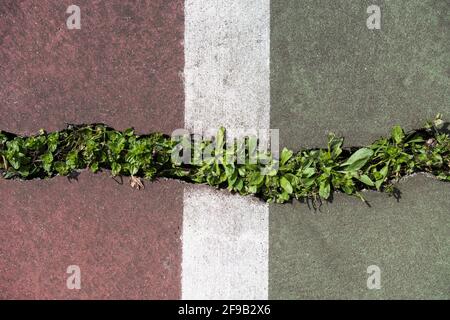 Gros plan sur la texture du béton fissuré. Vieux court de tennis en béton avec des fissures et la destruction naturelle du temps et des conditions météorologiques. Banque D'Images