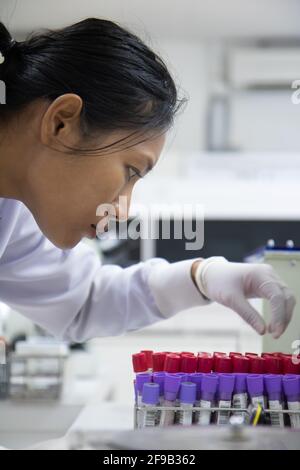 Une femme travaillant avec des tubes de test de sang dans un laboratoire à l'hôpital Banque D'Images