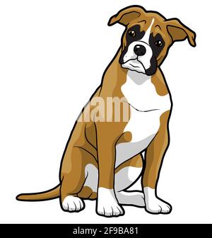 Chiot boxer animaux de race animale sitiing mascotte illustration Banque D'Images