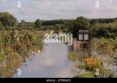 Submergé Osney Allotages, Botley Road après que la Tamise a brisé ses berges. L'inondation a été courtisée par de fortes pluies non saisonnières qui ont conduit à la rivière Thames et ses affluents à briser leurs berges. 250 maisons dans la région d'Abingdon et de Botley Road à l'ouest d'Oxford où il a été évacué. Botley Park, Botley Road, Oxford, Royaume-Uni. 24 juillet 2007 Banque D'Images