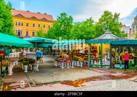 WROCLAW, POLOGNE, 28 MAI 2017 : maisons colorées sur la place Plac Solny, dans le centre de Wroclaw, Pologne Banque D'Images