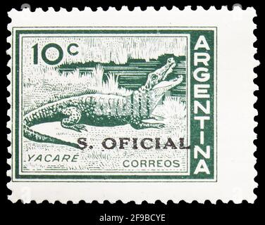 MOSCOU, RUSSIE - 24 SEPTEMBRE 2019: Timbre-poste imprimé en Argentine montre Caiman (Caiman sp.), série personnalités et paysages, vers 1959 Banque D'Images