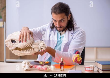 Jeune paléontologue devant le tableau blanc Banque D'Images