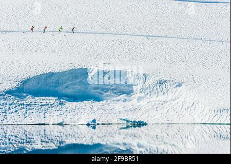 Ski de fond en été Banque D'Images