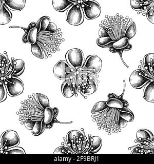 Motif sans couture avec fleurs de feijoa noires et blanches Illustration de Vecteur