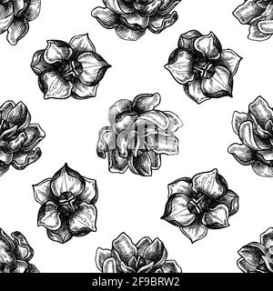 Motif sans couture avec fleurs de magnolia noir et blanc Illustration de Vecteur