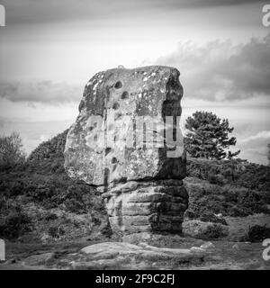 La pierre de Cork est une pierre eratique naturelle debout sur Stanton Moor dans le parc national de Peak District, Royaume-Uni Banque D'Images