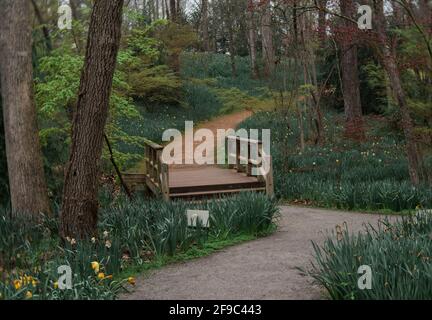 Sentier de randonnée dans le jardin Gibbs avec pont piétonnier en géorgie Banque D'Images