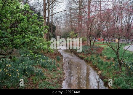 Cours d'eau aux jardins gibbs lors d'une journée de pluie En Géorgie Banque D'Images