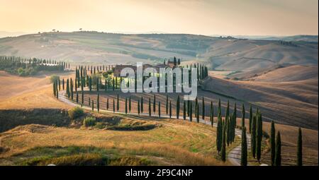 Coucher de soleil sur la route sinueuse avec des cyprès. Avenue typique, douce lumière d'été, Toscane, Italie. Banque D'Images