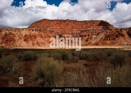 Méses de roche rouge, ciel bleu de cobalt et nuages blancs puffy dans le sud-est de l'Utah, aux États-Unis. Banque D'Images