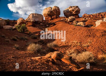 Formation rocheuse « Twin Rocks » dans le parc national de Capitol Reef, Utah, États-Unis. Banque D'Images