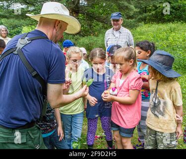 Les enfants apprennent la nature avec un naturaliste qualifié Banque D'Images