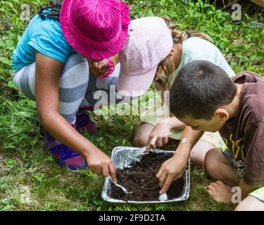 Les enfants apprennent la nature avec un naturaliste qualifié Banque D'Images