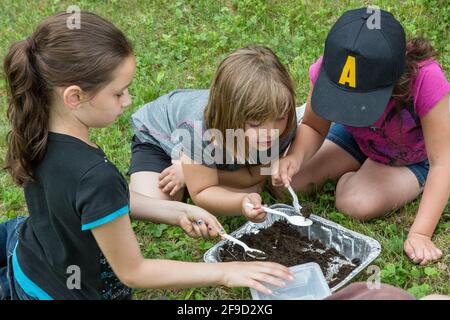 Les enfants apprennent la nature avec un naturaliste qualifié Banque D'Images
