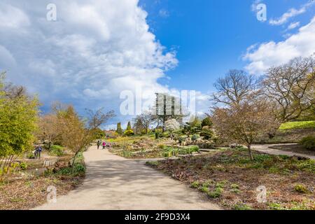 Vue sur le Rock Garden à RHS Garden, Wisley, Surrey, au sud-est de l'Angleterre, au printemps, avec des nuages gris qui s'amassent Banque D'Images