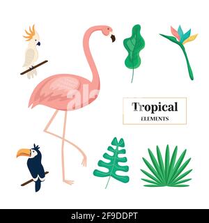 trois animaux tropicaux Illustration de Vecteur