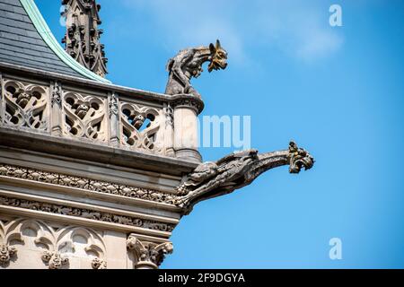 Un ensemble de deux gargouilles du domaine Biltmore Banque D'Images