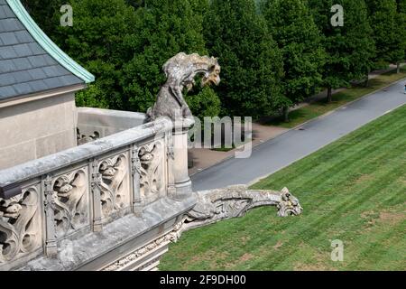 Un ensemble de deux gargouilles du domaine Biltmore Banque D'Images