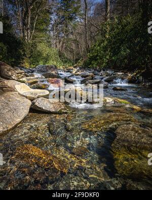 Petite cascade le long de la crique d'Alum Cave dans le national stationnement Banque D'Images