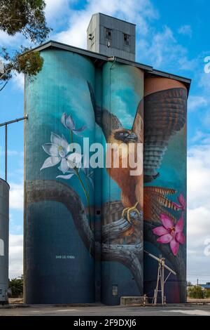 Australian Hobby and Sun Orchids Silo Art, Kaniva, Victoria, Australie Banque D'Images