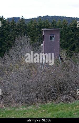Un poste de surveillance à côté des bois, utilisé par les chasseurs ou les animaux Banque D'Images