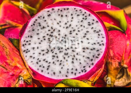 Rose White Dragon fruit fort Lauderdale Floride. Pitahaya Selenicereus undatus Banque D'Images