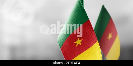 Petits drapeaux nationaux du Cameroun sur une lumière floue arrière-plan Banque D'Images