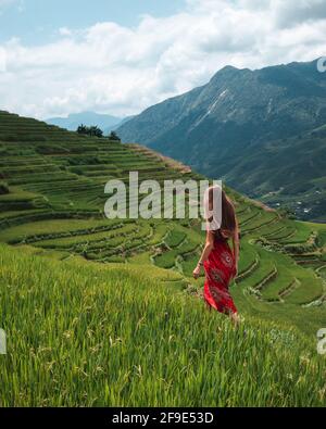 CHAMPS DE RIZ VIETNAM - femme marchant sur le riz Vietnam champs Banque D'Images