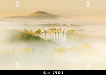 Collines avec arbres d'automne dans les nuages de brouillard. Matin brumeux dans une vallée d'automne du parc de la Suisse de Bohême, paysage de la République tchèque, Parc National ces Banque D'Images