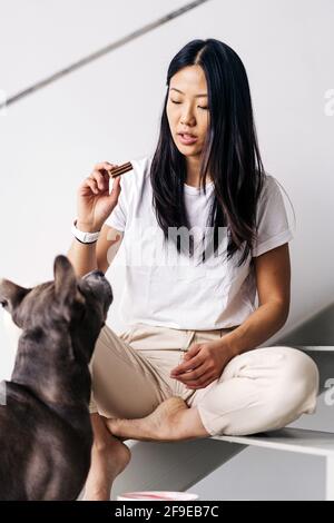 Femme ethnique avec traiter enseignant le Staffordshire Terrier américain pendant qu'elle est assise sur l'escalier et regardant l'un l'autre dans la maison Banque D'Images