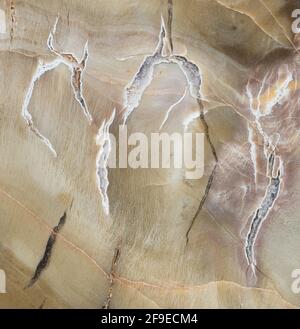 Texture de macro photographie de motifs et de couleurs dans un morceau de bois pétrifié (espèce Woodworthia) de la formation de Chinle en Arizona; environ 2 Banque D'Images