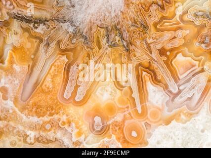 Macro texture photographie des couleurs et des motifs dans un Lace agate du Mexique Banque D'Images