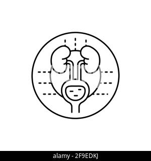 Icône de ligne de couleur Urologie. Pictogramme pour page Web, application mobile Illustration de Vecteur