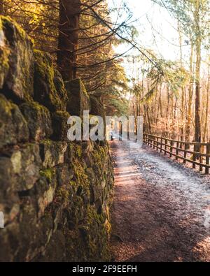 Sentier menant dans les bois avec une clôture en bois et mur en pierre sèche Banque D'Images