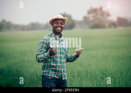 Agriculteur africain debout dans le champ de riz biologique avec le sourire et Happy.Agriculture ou concept de culture Banque D'Images