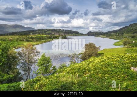 Beau lac, Looscaunagh Lough, entouré de fougères verdoyantes et de collines de Molls Gap dans les ruisseaux MacGillycuddys, anneau de Kerry, Irlande Banque D'Images